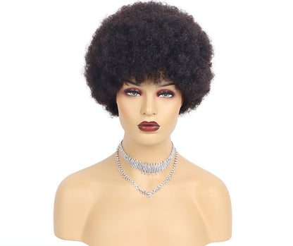 Perruques Courtes Cheveux Humains Afro Kinky Curly