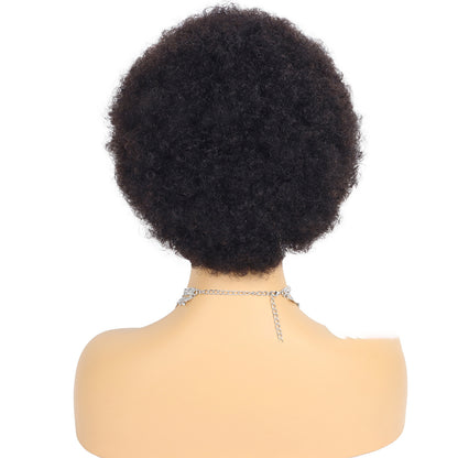 Perruques Courtes Cheveux Humains Afro Kinky Curly